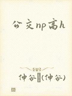 公交np高h