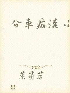 公车痴汉 小说