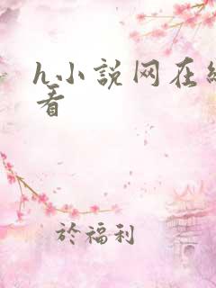 h小说网在线观看