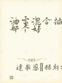 油电混合插电混哪个好