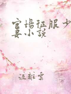 官场征服少妇人妻小说
