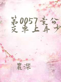 第0057章公交车上弄少妇