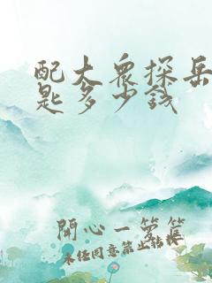 配大众探岳车钥匙多少钱