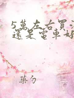 5万左右买油车还是电车好