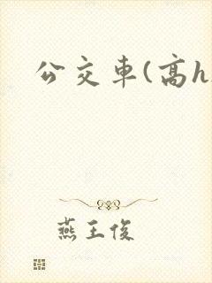 公交车(高h)