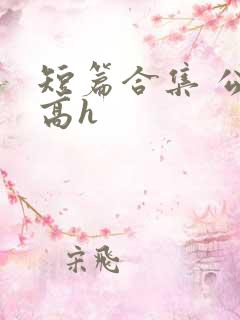 短篇合集 公车高h