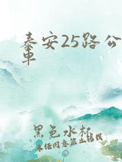 泰安25路公交车