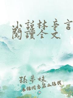 小说林辛言免费阅读全文