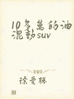 10多万的油电混动suv