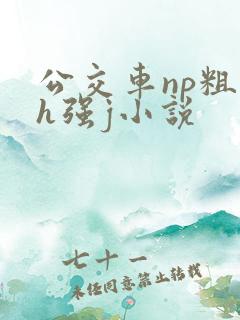 公交车np粗暴h强j小说