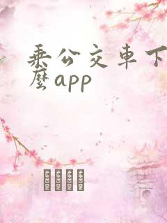 乘公交车下载什么app