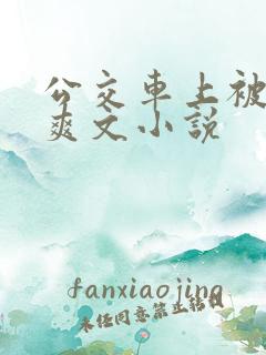 公交车上被强上爽文小说