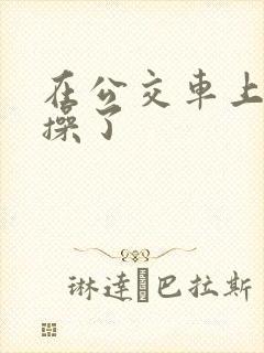 在公交车上被人操了