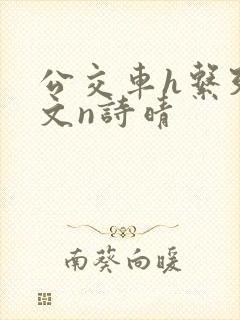 公交车h系列辣文n诗晴