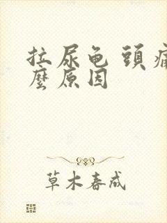 拉尿龟 头痛什么原因