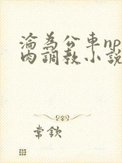 沦为公车np纯肉调教小说