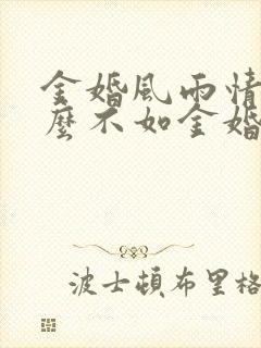 金婚风雨情为什么不如金婚