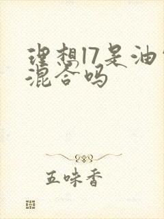 理想l7是油电混合吗
