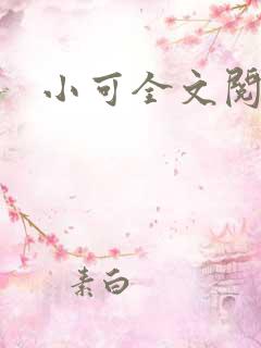 小可全文阅读