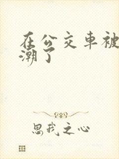 在公交车被上高潮了