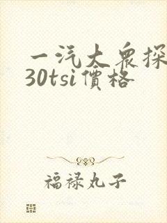 一汽大众探岳330tsi价格