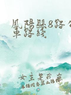 凤阳县8路公交车路线