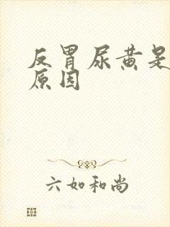 反胃尿黄是什么原因