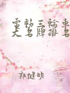 电动三轮车车十大名牌排名及价格