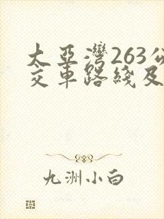 大亚湾263公交车路线及时间表公交