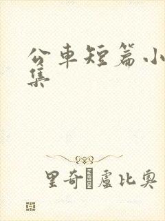 公车短篇小说合集
