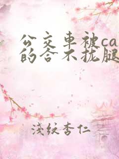 公交车被cao的合不拢腿