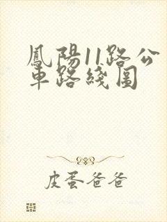 凤阳11路公交车路线图