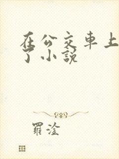 在公交车上被上了小说