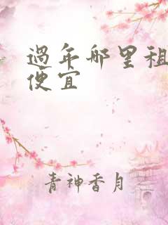 过年哪里租车最便宜