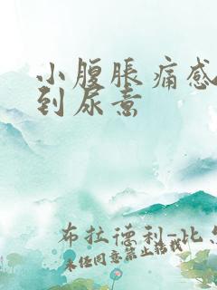 小腹胀痛感觉不到尿意