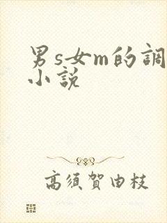 男s女m的调教小说