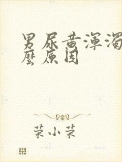 男尿黄浑浊是什么原因