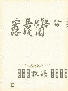 安岳8路公交车路线图