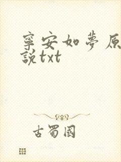 宁安如梦原著小说txt