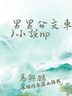 男男公交车(h)小说np