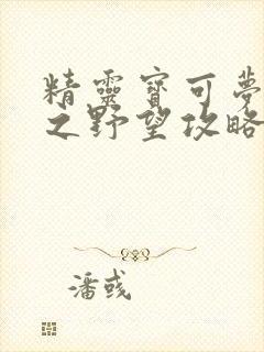 精灵宝可梦信长之野望攻略