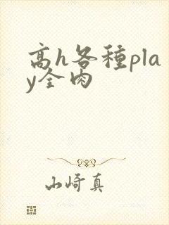 高h各种play全肉