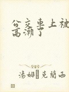 公交车上被摸到高潮了