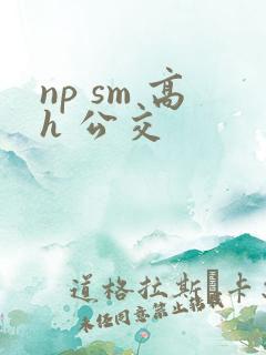 np sm 高h 公交