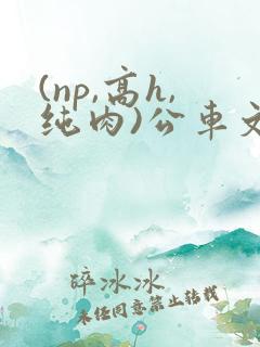 (np,高h,纯肉)公车文