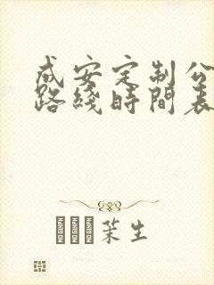 成安定制公交车路线时间表