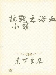 抗战之浴血大兵 小说
