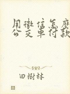用微信怎么乘坐公交车付款