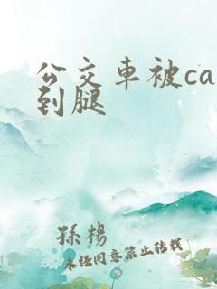 公交车被cao到腿