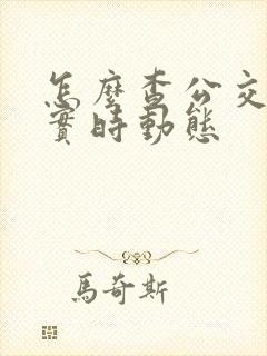怎么查公交车的实时动态